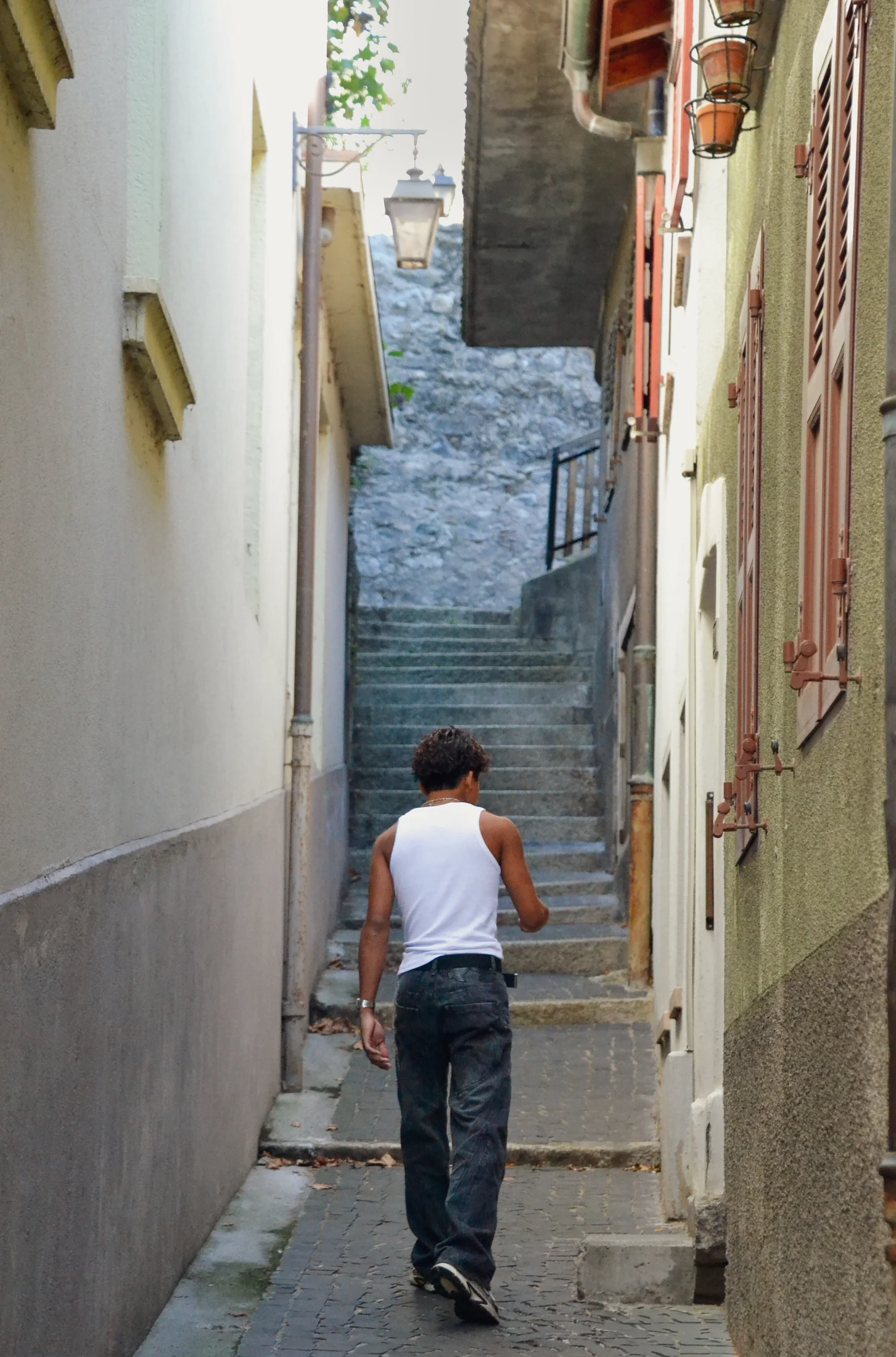 Nosh marchant dans une ruelle valaisanne